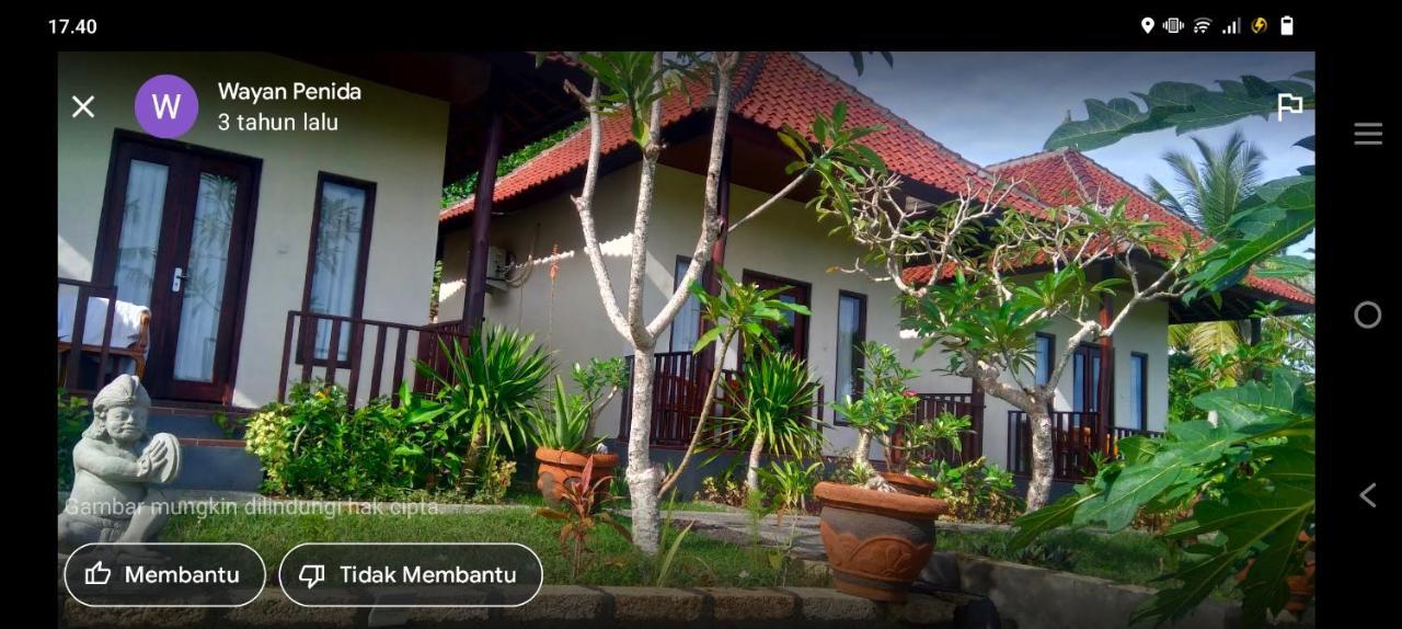 Mount Sea View Bungalow Sakti المظهر الخارجي الصورة